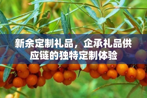 新余定制礼品，企承礼品供应链的独特定制体验