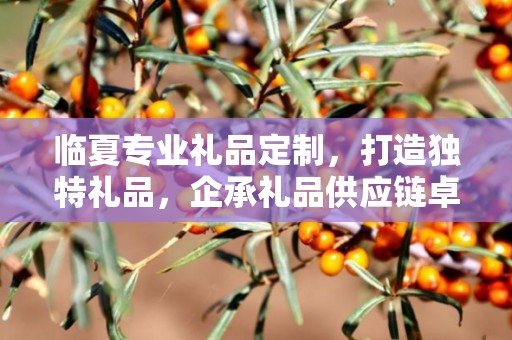 临夏专业礼品定制，打造独特礼品，企承礼品供应链卓越服务