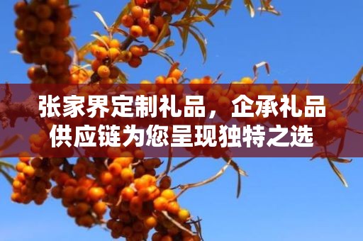张家界定制礼品，企承礼品供应链为您呈现独特之选