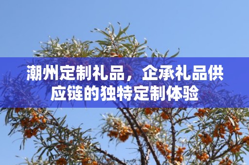 潮州定制礼品，企承礼品供应链的独特定制体验