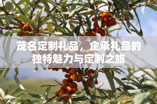 茂名定制礼品，企承礼品的独特魅力与定制之旅