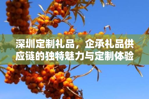 深圳定制礼品，企承礼品供应链的独特魅力与定制体验