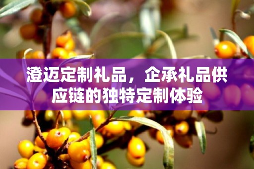 澄迈定制礼品，企承礼品供应链的独特定制体验