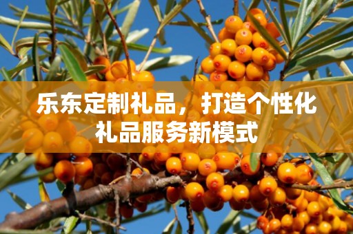乐东定制礼品，打造个性化礼品服务新模式