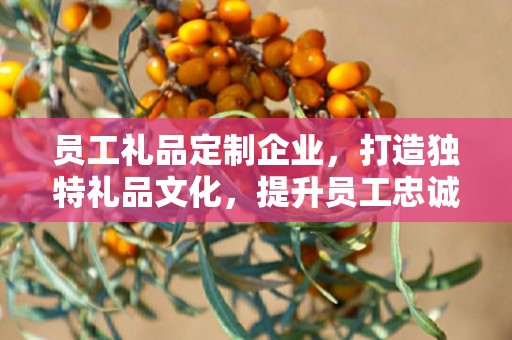 员工礼品定制企业，打造独特礼品文化，提升员工忠诚度与归属感