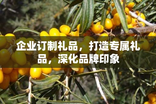 企业订制礼品，打造专属礼品，深化品牌印象