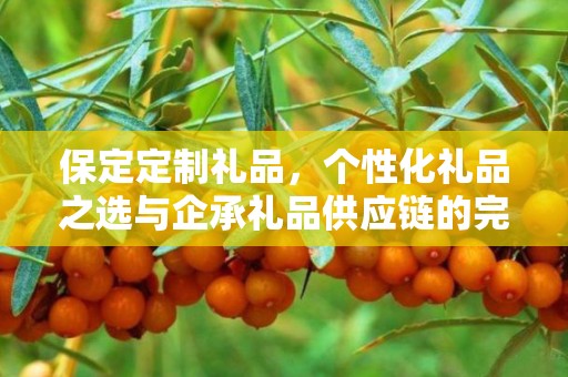 保定定制礼品，个性化礼品之选与企承礼品供应链的完美结合