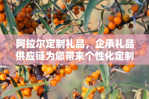 阿拉尔定制礼品，企承礼品供应链为您带来个性化定制体验