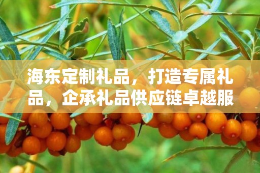 海东定制礼品，打造专属礼品，企承礼品供应链卓越服务