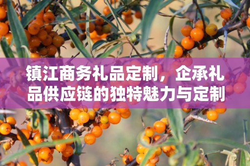 镇江商务礼品定制，企承礼品供应链的独特魅力与定制之道