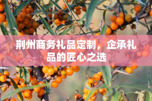 荆州商务礼品定制，企承礼品的匠心之选