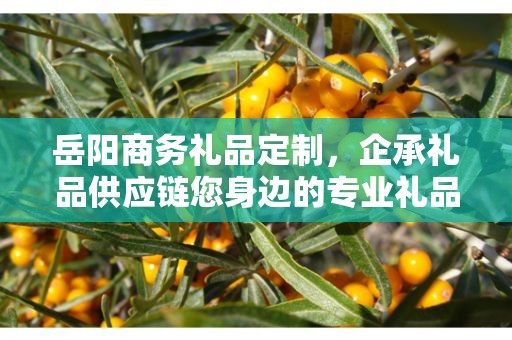 岳阳商务礼品定制，企承礼品供应链您身边的专业礼品定制公司