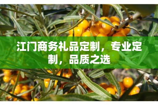 江门商务礼品定制，专业定制，品质之选
