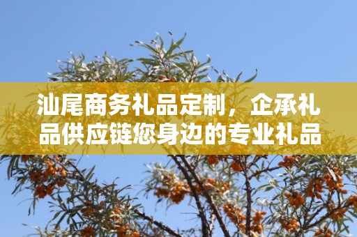 汕尾商务礼品定制，企承礼品供应链您身边的专业礼品定制公司