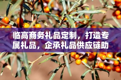临高商务礼品定制，打造专属礼品，企承礼品供应链助力商务往来