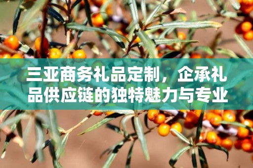 三亚商务礼品定制，企承礼品供应链的独特魅力与专业服务