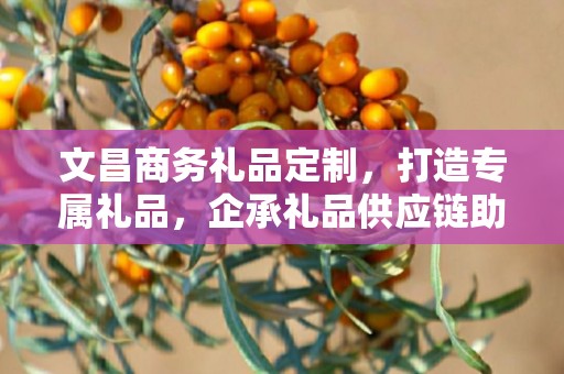文昌商务礼品定制，打造专属礼品，企承礼品供应链助力商务往来