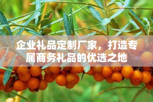 企业礼品定制厂家，打造专属商务礼品的优选之地