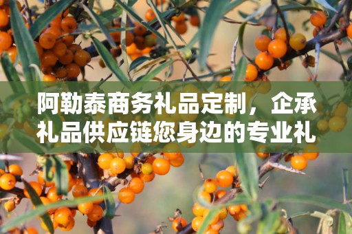阿勒泰商务礼品定制，企承礼品供应链您身边的专业礼品定制公司