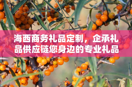 海西商务礼品定制，企承礼品供应链您身边的专业礼品定制公司