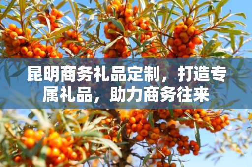 昆明商务礼品定制，打造专属礼品，助力商务往来