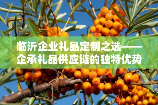 临沂企业礼品定制之选——企承礼品供应链的独特优势