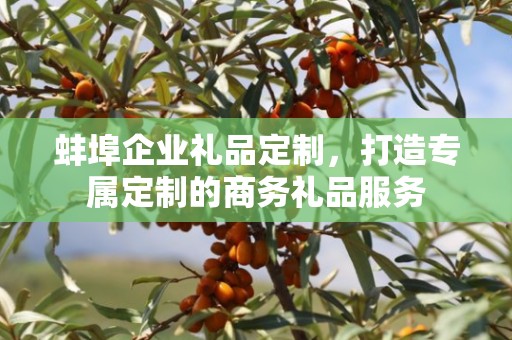 蚌埠企业礼品定制，打造专属定制的商务礼品服务