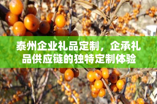 泰州企业礼品定制，企承礼品供应链的独特定制体验