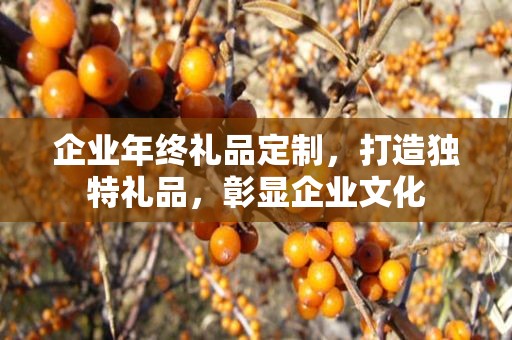 企业年终礼品定制，打造独特礼品，彰显企业文化