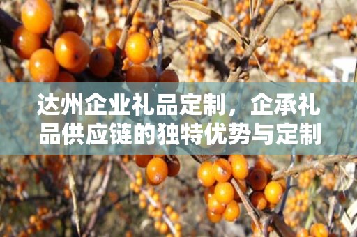 达州企业礼品定制，企承礼品供应链的独特优势与定制体验