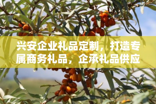 兴安企业礼品定制，打造专属商务礼品，企承礼品供应链助力企业福利升级