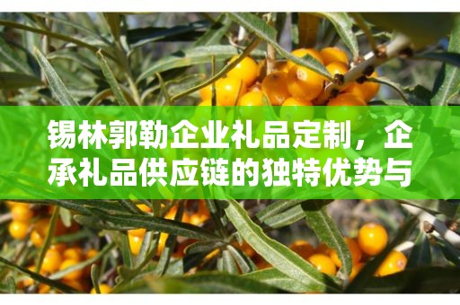 锡林郭勒企业礼品定制，企承礼品供应链的独特优势与定制之旅