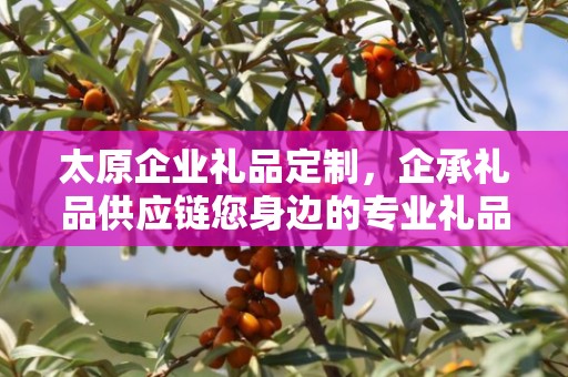 太原企业礼品定制，企承礼品供应链您身边的专业礼品定制公司