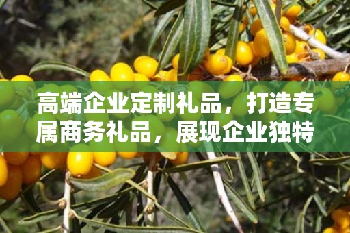 高端企业定制礼品，打造专属商务礼品，展现企业独特风采