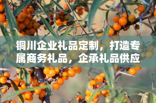 铜川企业礼品定制，打造专属商务礼品，企承礼品供应链助力企业福利升级
