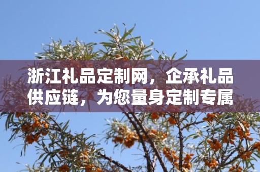 浙江礼品定制网，企承礼品供应链，为您量身定制专属礼品