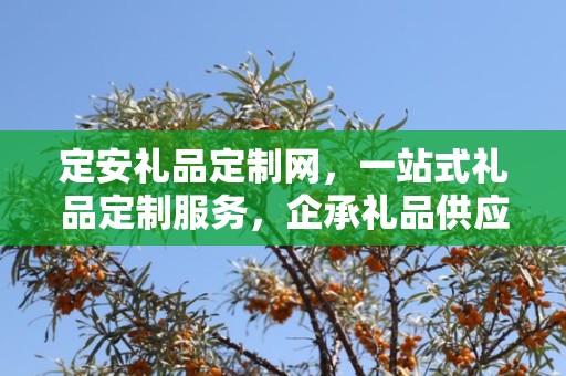 定安礼品定制网，一站式礼品定制服务，企承礼品供应链助力商务礼品新体验