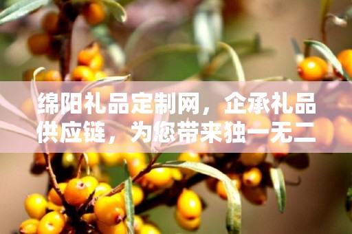 绵阳礼品定制网，企承礼品供应链，为您带来独一无二的定制体验