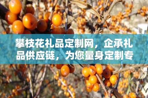 攀枝花礼品定制网，企承礼品供应链，为您量身定制专属礼品