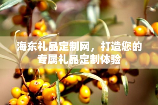 海东礼品定制网，打造您的专属礼品定制体验