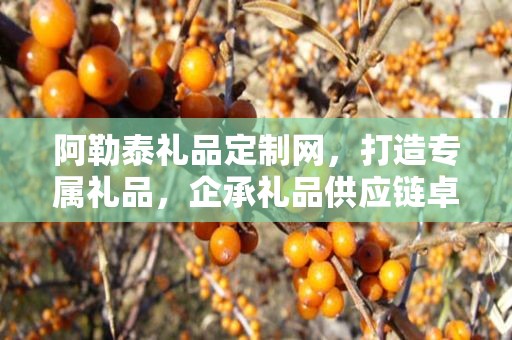 阿勒泰礼品定制网，打造专属礼品，企承礼品供应链卓越服务