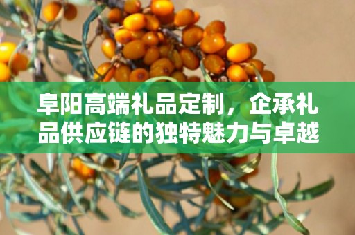 阜阳高端礼品定制，企承礼品供应链的独特魅力与卓越服务