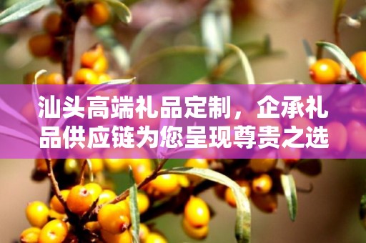 汕头高端礼品定制，企承礼品供应链为您呈现尊贵之选
