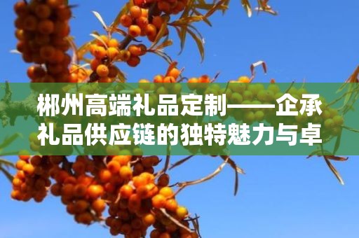 郴州高端礼品定制——企承礼品供应链的独特魅力与卓越服务