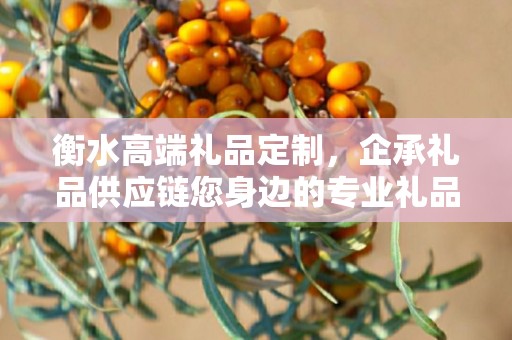 衡水高端礼品定制，企承礼品供应链您身边的专业礼品定制公司
