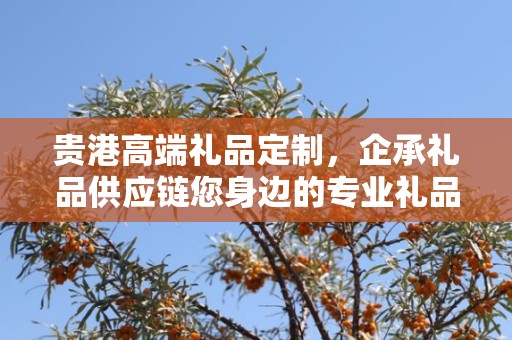 贵港高端礼品定制，企承礼品供应链您身边的专业礼品定制公司