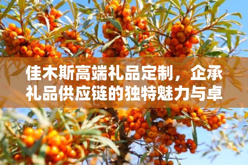 佳木斯高端礼品定制，企承礼品供应链的独特魅力与卓越服务