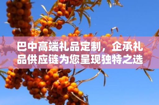 巴中高端礼品定制，企承礼品供应链为您呈现独特之选
