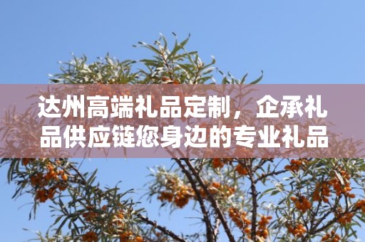 达州高端礼品定制，企承礼品供应链您身边的专业礼品定制公司