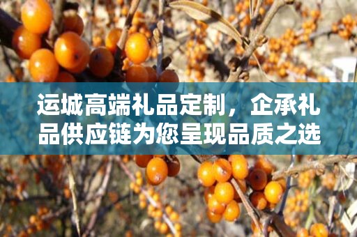 运城高端礼品定制，企承礼品供应链为您呈现品质之选